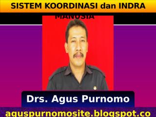 Sistem Koordinasi dan Indra Manusia.pptx